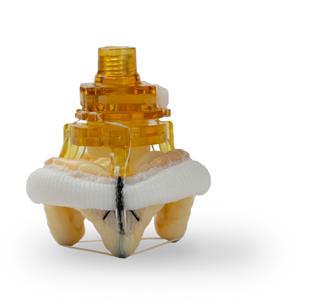 Epic Plus Supra mitral stented tissue valve features