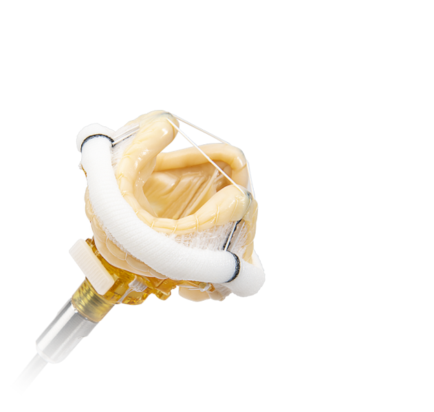 Epic Plus Supra mitral stented tissue valve features