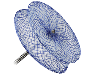 Amplatzer Muscular VSD Occluder for ventricular septal defects too high-risk for surgical repair