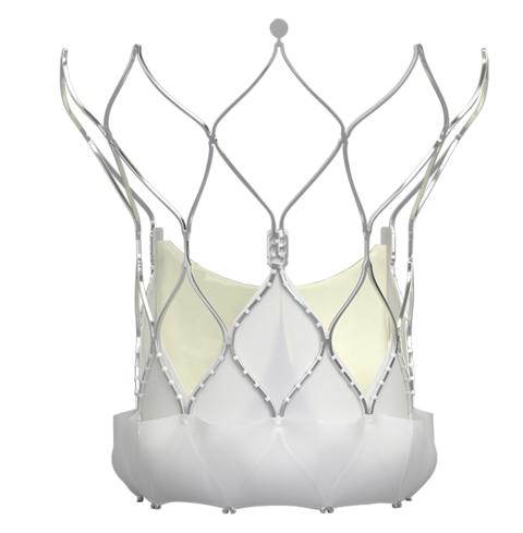 Navitor TAVI Aortic Valve wtih FlexNav Navitor TAVI Aortic Valve wtih FlexNav