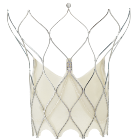 Abbott Portico FlexNav TAVI system for transcatheter aortic valve implantation Abbott Portico FlexNav TAVI system for transcatheter aortic valve implantation