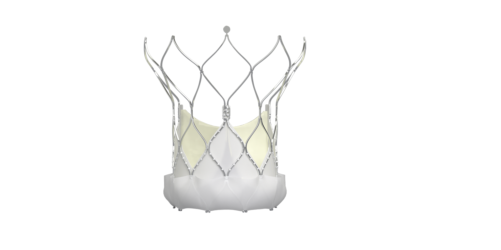 Navitor TAVI Aortic Valve wtih FlexNav