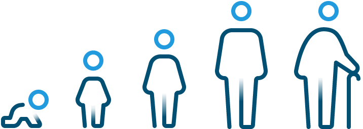 Age Groups Age Groups